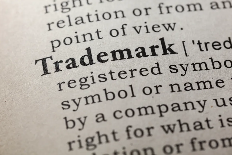 Trademark Opposition 101:  A Comprehensive Guide to Protecting Your Brand